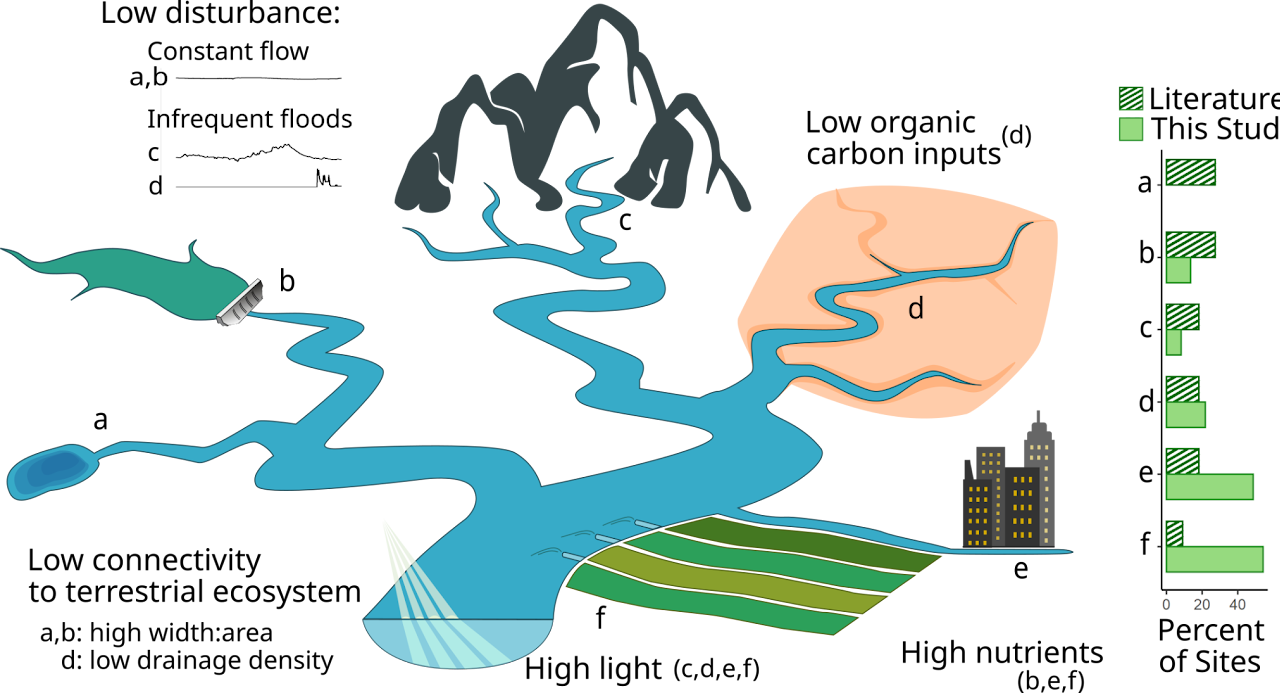 River types where autotrophy tends to occur