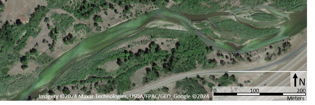 Satellite image of the Upper Clark Fork River during a summer filamentous algal bloom