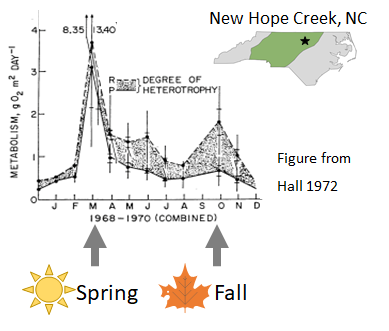 New Hope Creek stream energetics